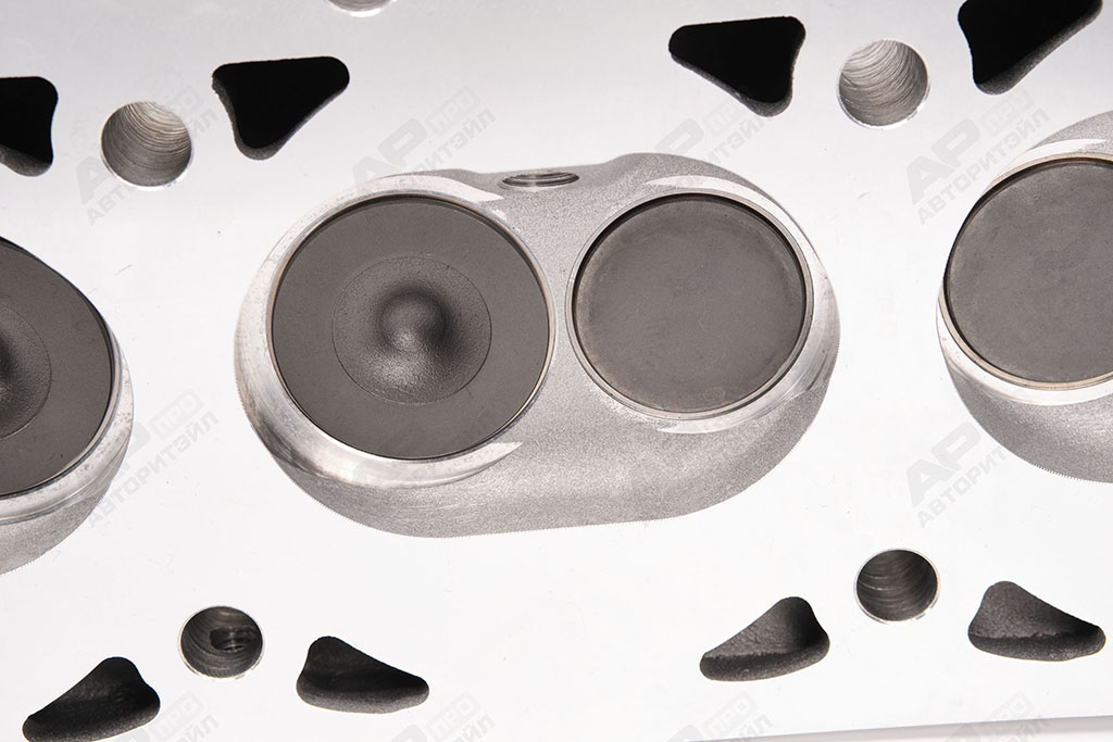 Головка блока цилиндров УМЗ-4216 Евро-3, 4 в сборе с клапанами G-PART 4216.1003010-30